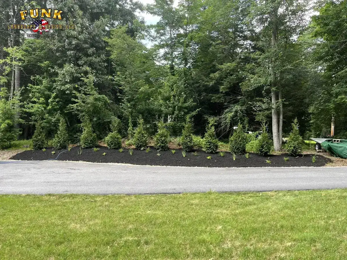 Fresh black mulch beds and new shrub plantings maintained in Worcester County, MA by Funk Landscape & Design