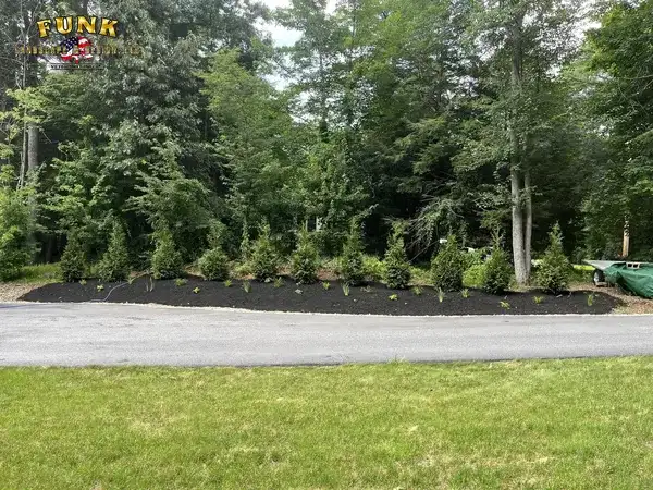 New arborvitae privacy planting in fresh black mulch in Oxford, MA by Funk Landscape & Design