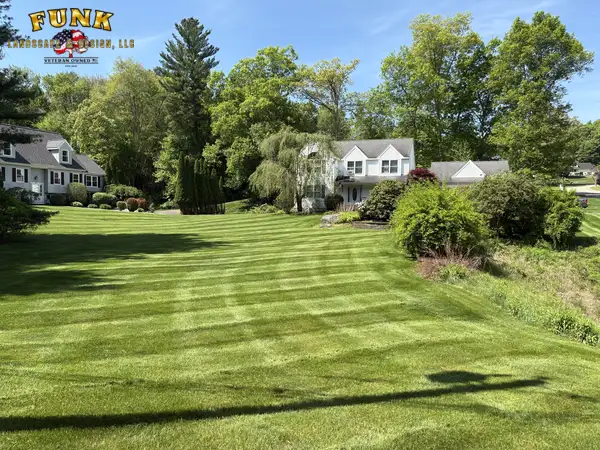 Curved mowing stripes across a broad lawn leading to a willow tree