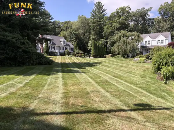 Long striped lawn freshly mowed between neighboring homes
